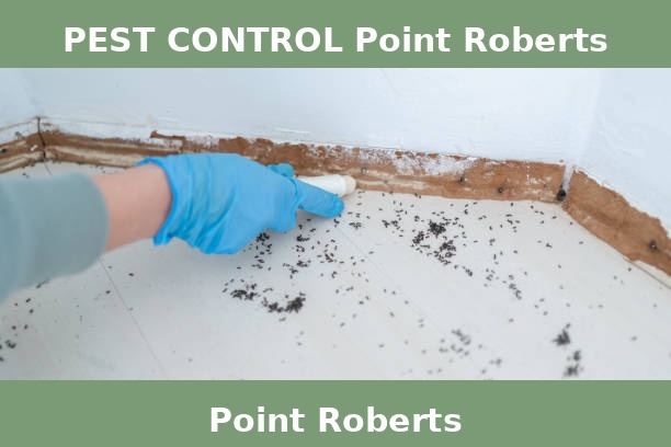 PEST CONTROL Point Roberts